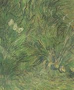 Vincent Van Gogh Two White Butterflies (nn04) oil